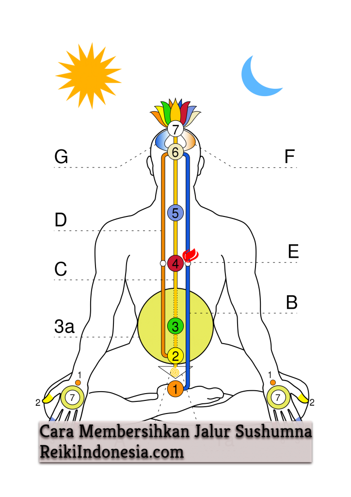 cara membersihkan jalur sushumna